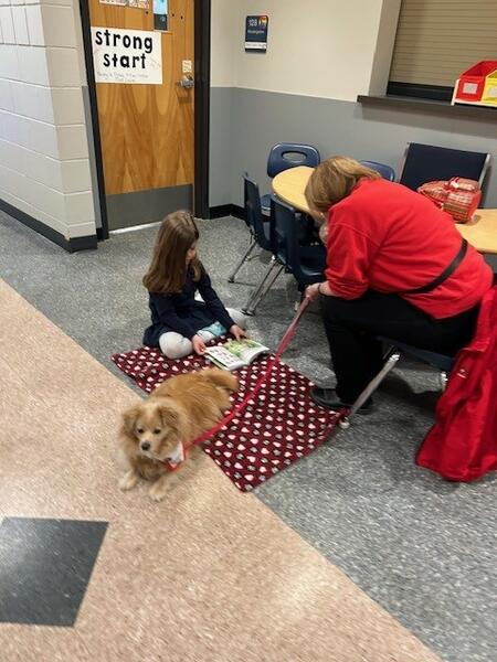 St. Johns Ambulance Therapy Dog 