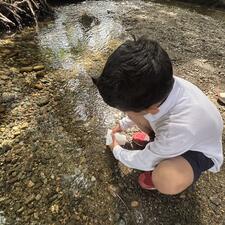 Salmon Fry Release