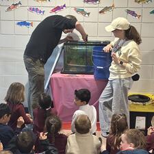Salmon Fry Release