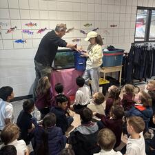Salmon Fry Release