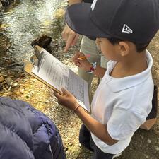 Salmon Fry Release